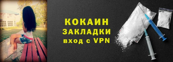гашик Новозыбков